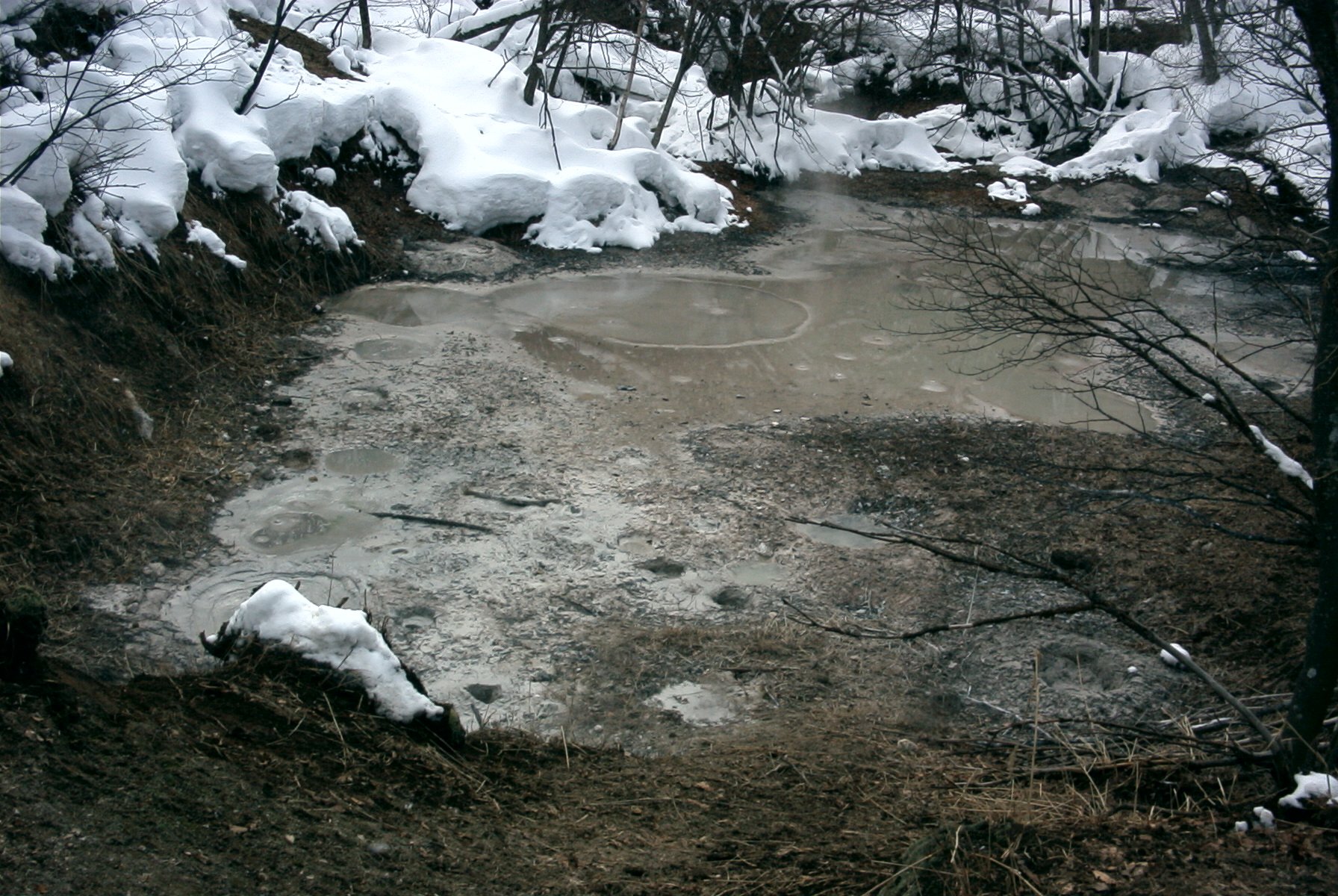 ♨️ 끓는 진흙 화산(봇케) 이미지 7